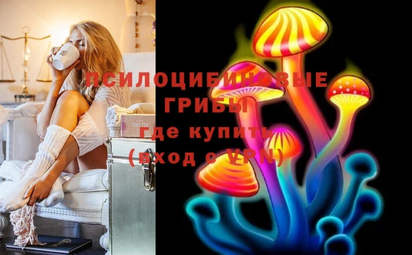 СК Балахна